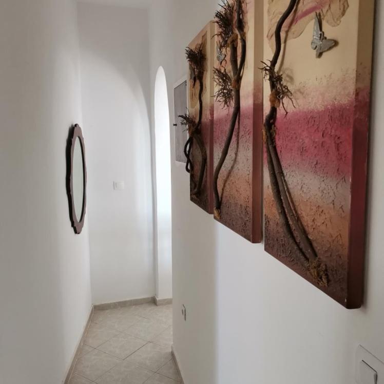Seaview Family House Appartement Arkasa Buitenkant foto